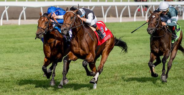 Turf Champions Day, Woodbine Mile, Summer Stakes, Natalma Stakes, E. P. Taylor Stakes, Woodbine, horse racing, America's Best Racing, ABR